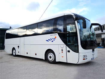 Man Lion's Coach - 54pax