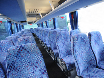 Interni Man Lion's Coach - 54pax