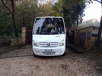 Noleggio autobus Mercedes 818 32pax